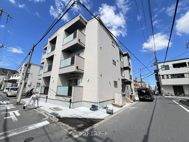 F asecia copperの外観