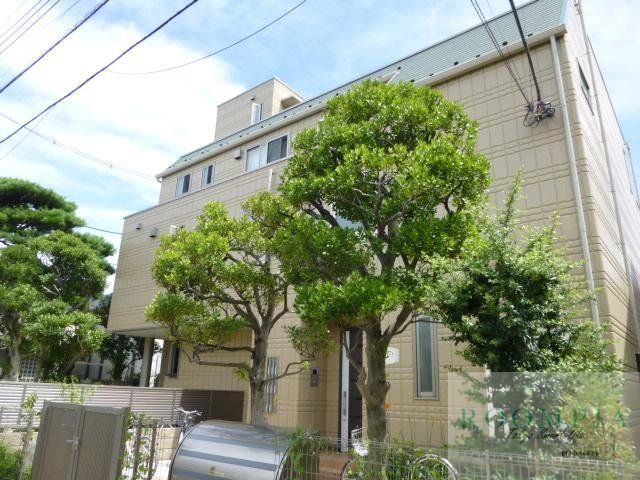 メイプル　コート　駒沢