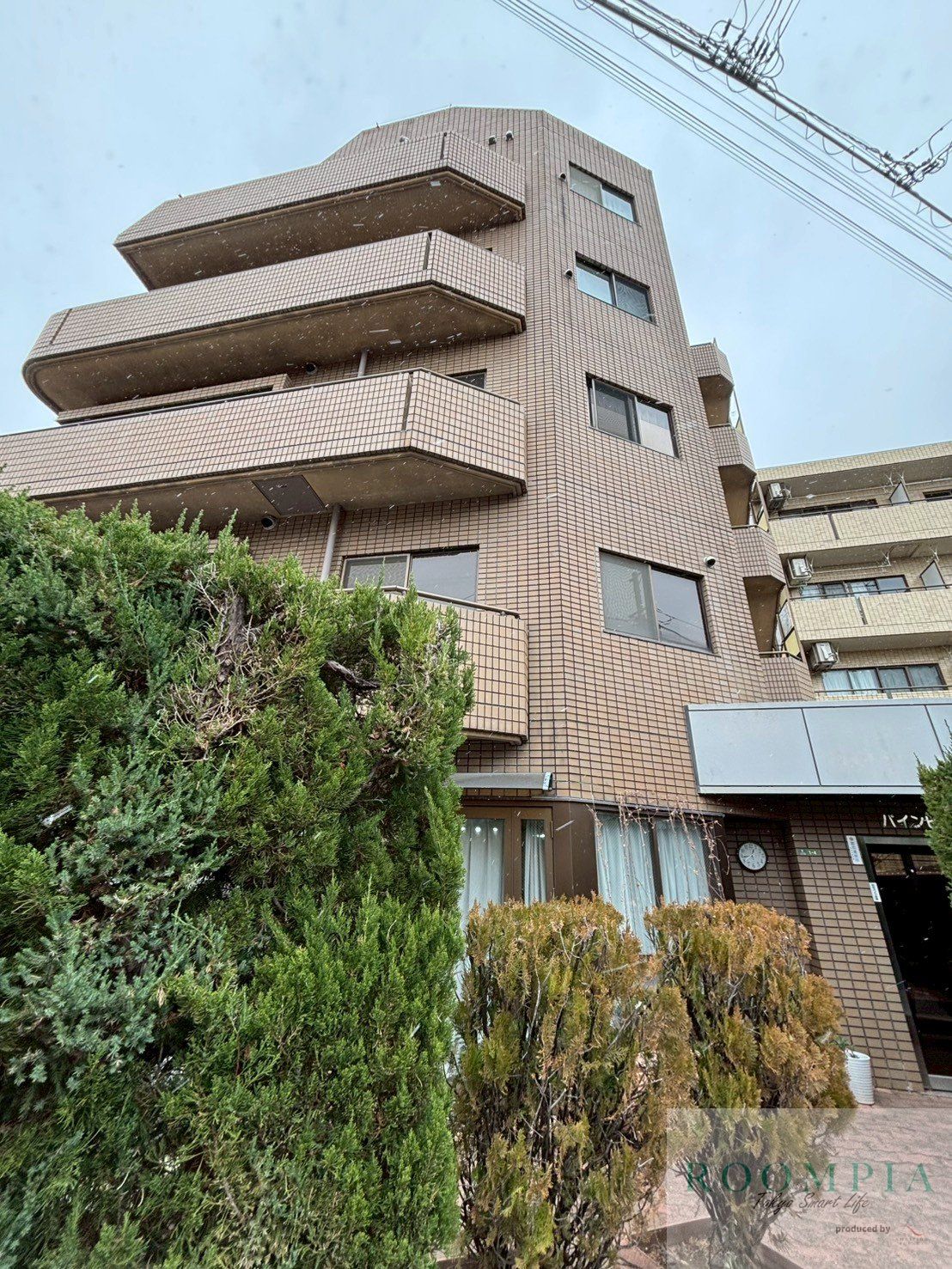 パインヒルガーデン