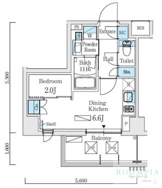 5階の間取り図