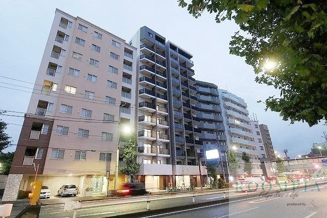 ベルグレード王子DUE