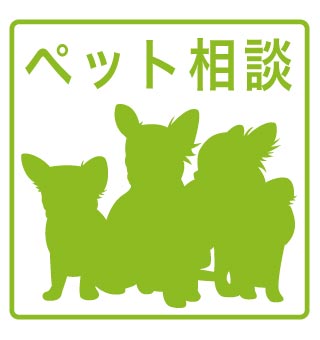 その他 その他