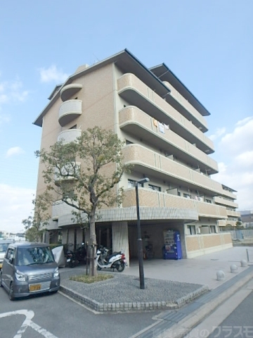 フレアコートコスモ