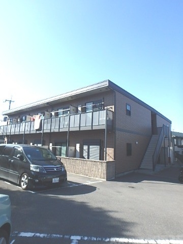 アンプルールフラーリッシュ