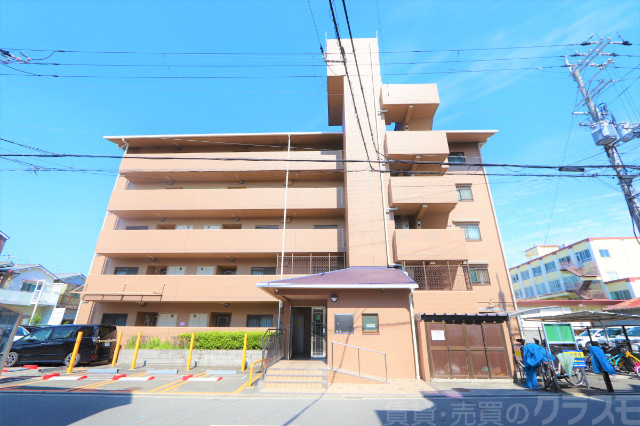 ルミネノヴァ菊田