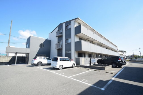 レクエルド藤