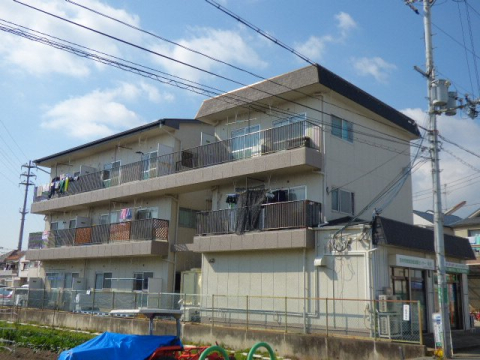 シャトーかわもとの外観