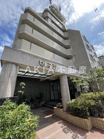 セレネ37