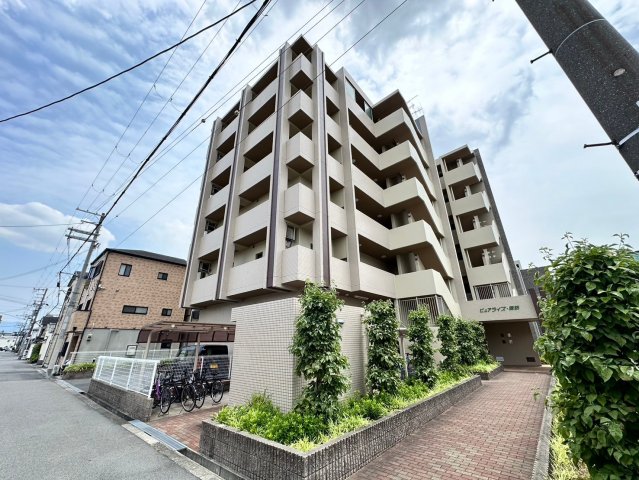 ピュアライズ諏訪