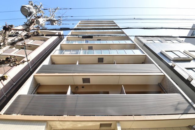 LIVIAZ NAMBA LUCE
