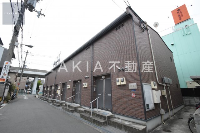 ワラビー