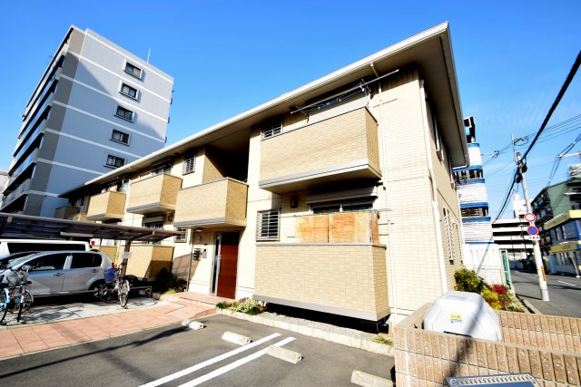 コンフォート杭全