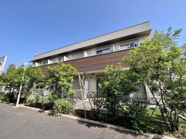 Ａｄｏｒａｂｌｅ樹の外観