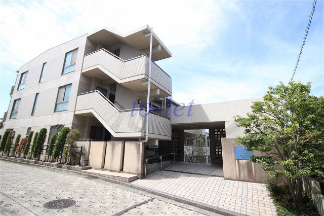 ＭＹＴ・ＰＡＲＡＣＩＯ