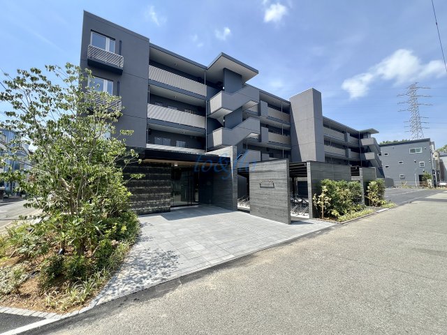 アグロラトス ヒサリコの外観