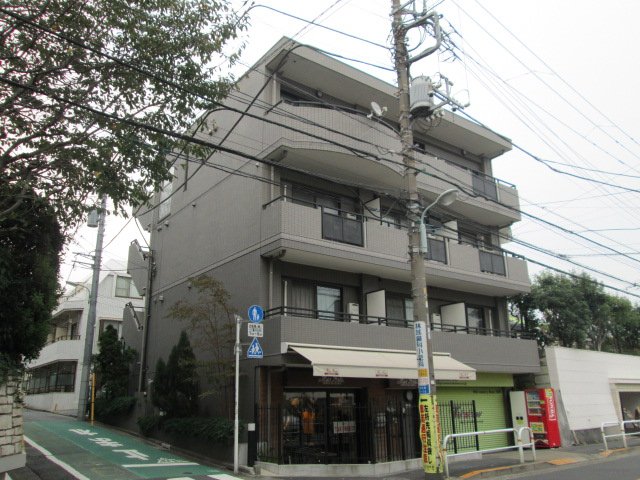 ステラトウショウの外観
