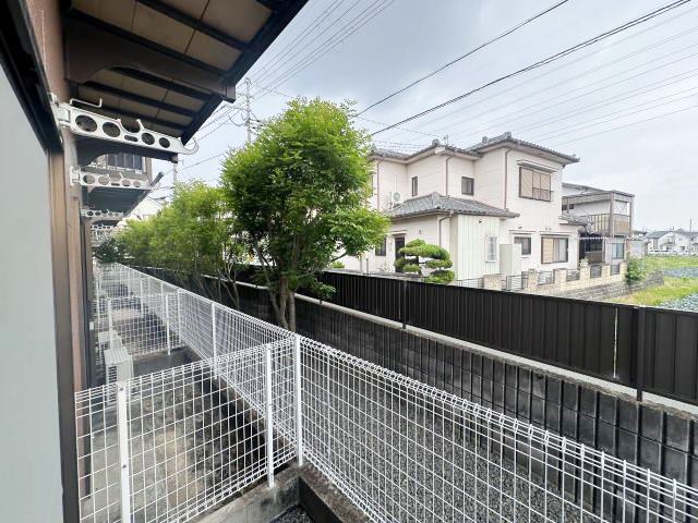 展望