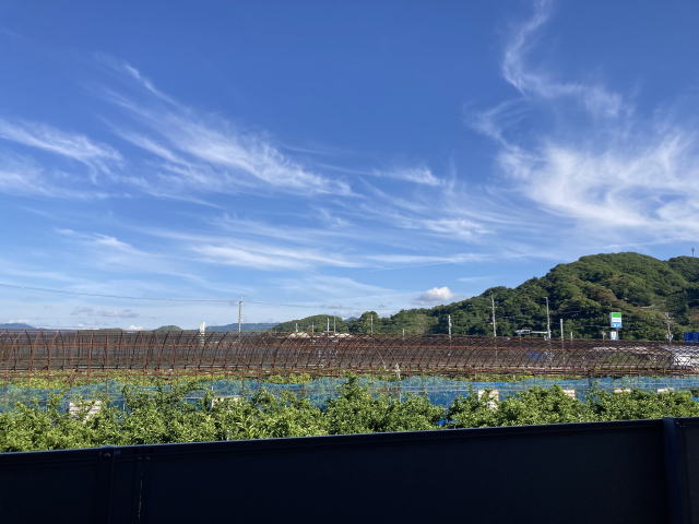 展望
