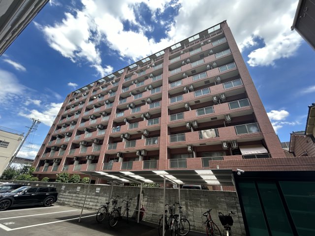 エクセレント上新12