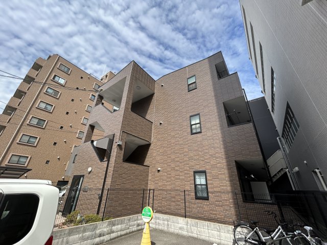 アンプルールフェールSHIBATA