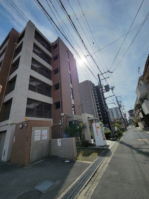 アレルヤの外観