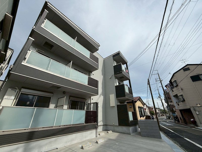 F asecia Somnusの外観