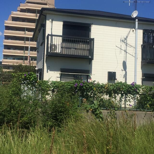 さざなみハイツの外観