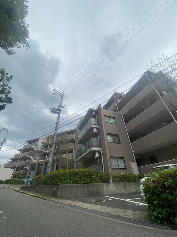 K緑地