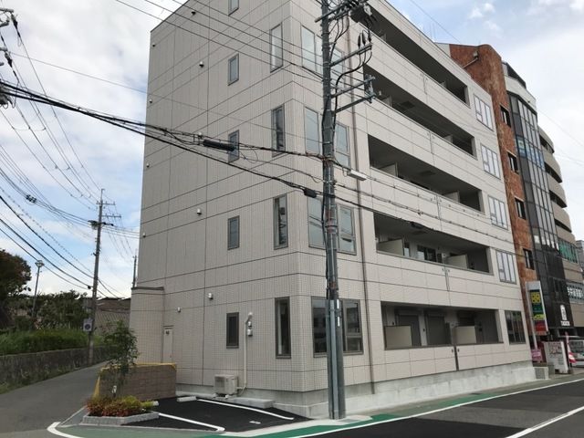 ナスタチウムの外観