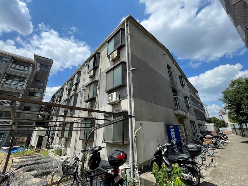 ＣＬＥＡＲ　ＨＯＳＨＩＧＡＯＫＡ．II
